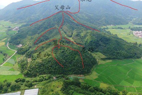 梦兆解析，祖坟之上龙现，后人之福？还是警示？应对策略详解