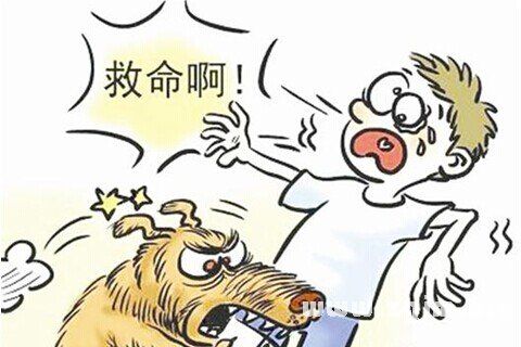 昨晚我梦见被狗咬，梦境背后的深层含义与解析