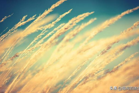 周公解梦，梦见已故亲人问自己要纸笔，寓意何在？