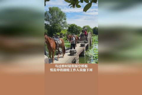 梦见河水满过桥到路上，探索梦境背后的深层含义与启示