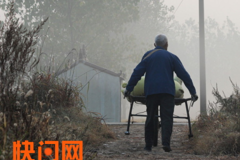 梦见我和公公婆婆吵架，家庭关系与内心情感的深层解析