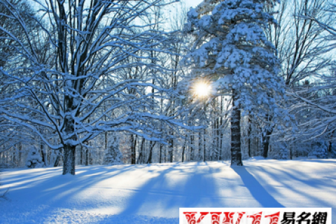 白天做梦梦见下雪准吗？周公解梦带你探寻梦境奥秘