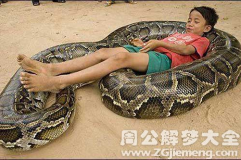 周公解梦大全查询，梦见怀里抱着小孩和满屋子的蛇，寓意何在？
