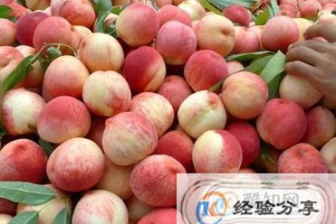 孕妇梦见偷摘桃子没吃，寓意与解析