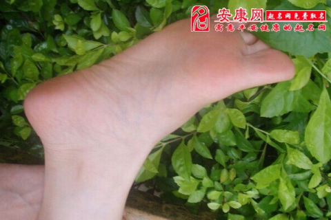 梦见脚底下很多泥鳅，探索潜意识中的微妙信息