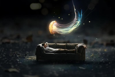 梦境与现实，探索梦中与心仪之人相遇的奥秘