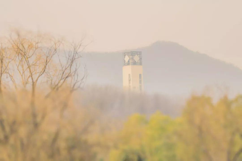 回溯往昔梦境，大学时光与意外之河的启示