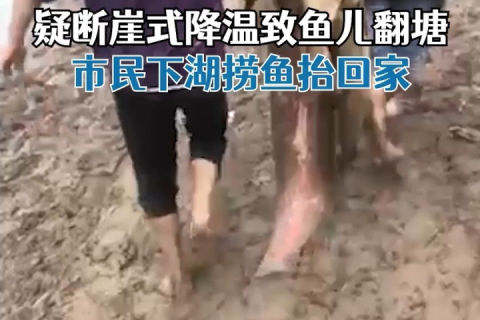 梦境解析，我梦到有好多人抬了四口大黑棺材来我家，是吉是凶？