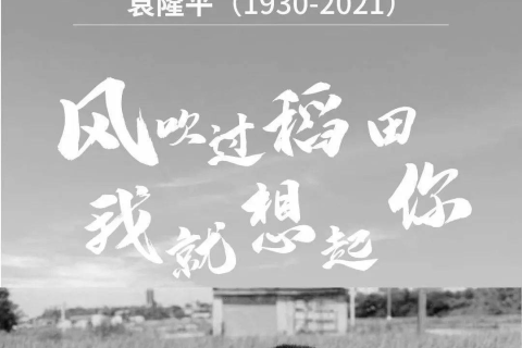 梦中重逢，与逝去的爷爷和奶奶共叙往昔