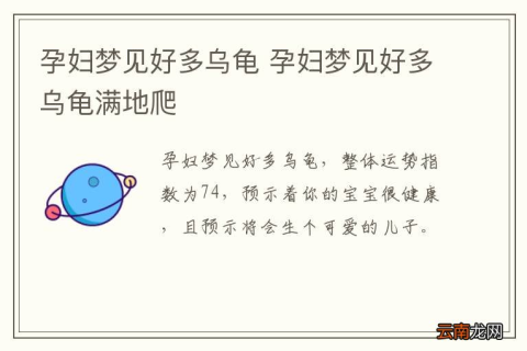 孕妇梦到小乌龟，是胎梦吗？