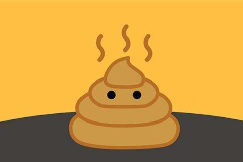 梦境解析，为何梦中上厕所时衣服上会爬满屎虫？