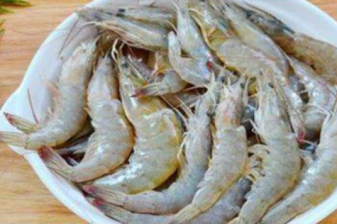 梦见虾是什么预兆，探索梦境中的神秘信号