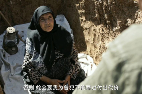 梦境解析，梦见两条蛇与两条狗追逐咬噬的深层含义
