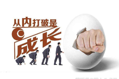 梦见一筐鸡蛋都是破的，潜意识中的警示与启示