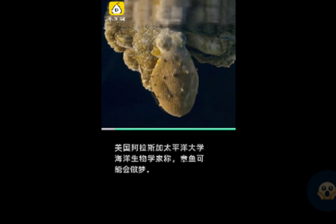 做梦梦到虫子，潜意识中的隐喻与启示