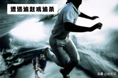 老是做梦梦见蛇是怎么回事，深度解析梦境中的蛇与心理暗示