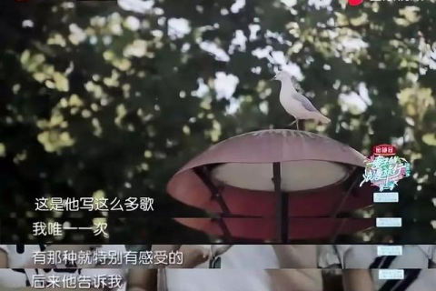 梦境背后的深意，解析梦见男方家人不喜欢我的潜在含义