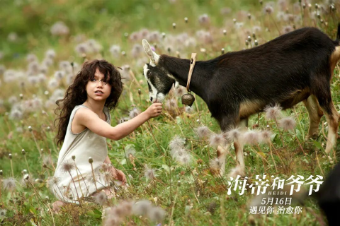 梦境解析，姐姐归来，衣如往昔
