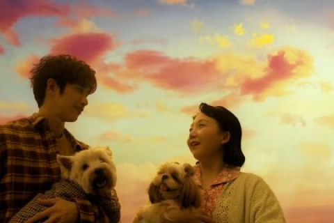 梦境奇遇，与无言之犬共话，共赴恋爱之旅