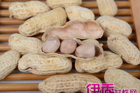 梦见种花生是胎梦吗？解读梦境中的寓意与象征