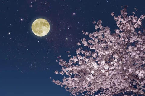 星辰幻灭，月映梦境，探索梦中星月的深层含义