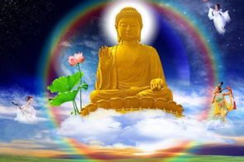 梦见自己身上出现南无阿弥陀佛金色字，一场心灵的觉醒之旅