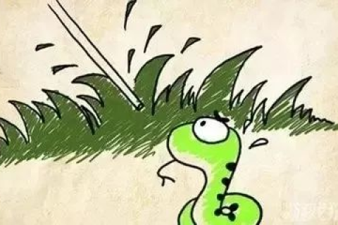 梦境解析，蛇入被褥，手被咬伤，家人援手解危机