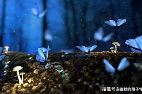 梦见石蝴蝶的预兆，探索梦境中的神秘启示与心灵奥秘