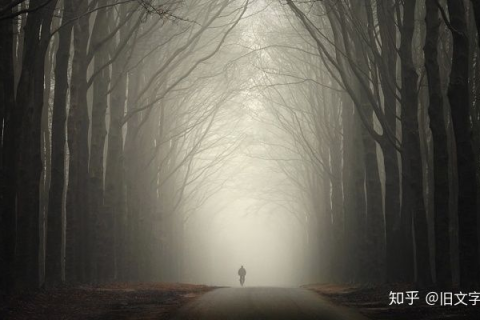 梦境的迷雾，母亲与鬼的婚礼——探索梦境背后的深层含义