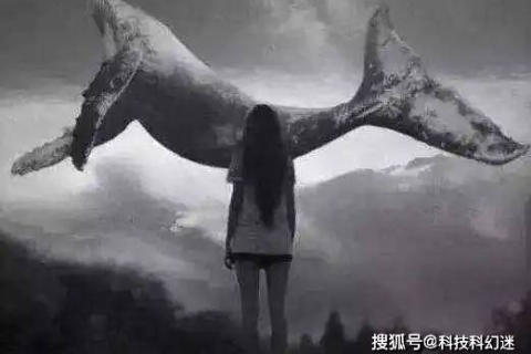 梦见抬死人，潜意识的警示还是巧合的梦境？