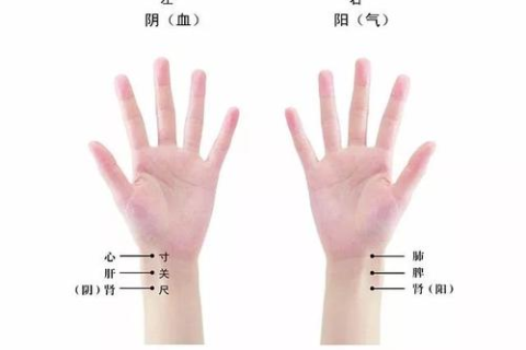 梦境中的生理信号，解读做梦梦到自己来月经的深层含义
