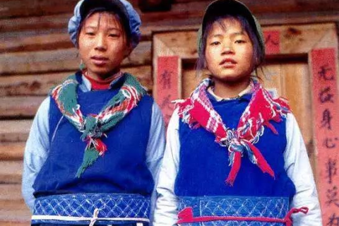 孕妇梦中双蛇缠绕，寓意、解析与心灵启示