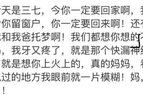 梦见去世的妈妈给我说话，解读梦境中的温情与启示