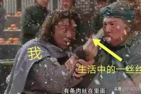 梦境与现实交织的奇迹，晚上梦见已故母亲言雪，晨起真下雪的奇妙巧合
