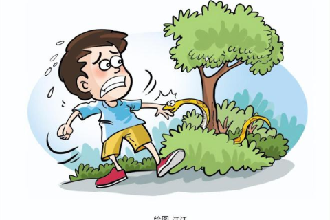 梦境中的守护与成长，解析梦到和妈妈两个人打死了蛇的深层含义