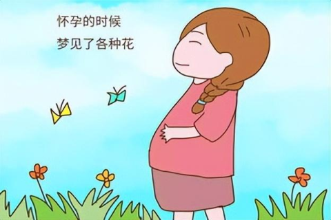 怀孕之人梦境拾蛋，寓意、解析与心灵启示