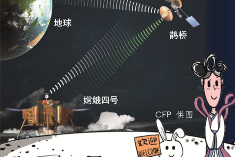 做梦梦到蚯蚓，探索潜意识深处的启示与寓意