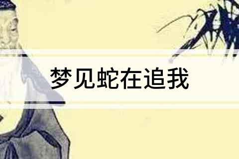 梦境解析，我梦到蛇赶不走一路追着我不放