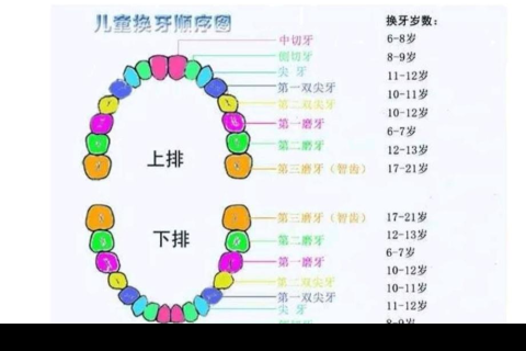 梦境解析，晚上做梦梦见牙齿掉了，意味着什么？