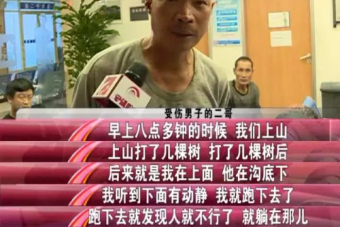 梦见树上挂着小孩是自己的哥哥，梦境背后的深层含义与解析