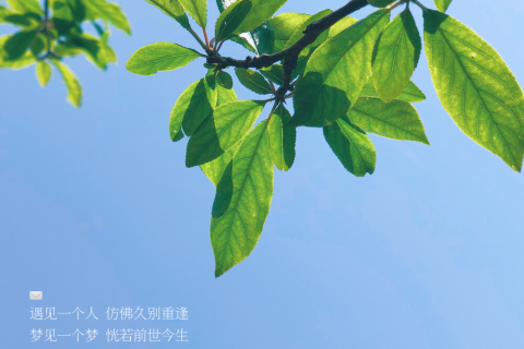 梦见了一个很久没见的人，重逢旧识的梦境解析