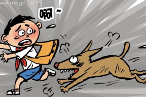 梦境解析，梦见在上班路上被狗咬，寓意何在？