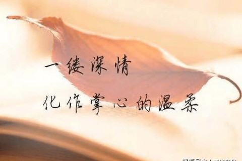 在梦中遇见喜欢的人，梦境的奥秘与情感预兆