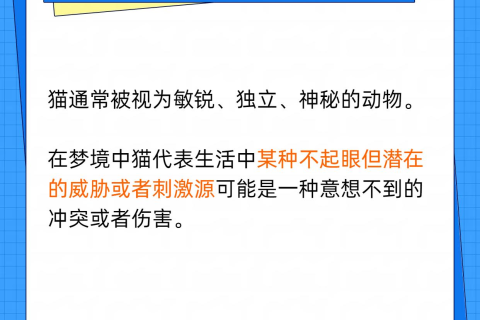 梦见孩子被猫抓，解读梦境背后的深层含义