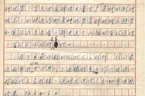 梦里梦见去世的父亲，重逢的餐桌与未解的谜团
