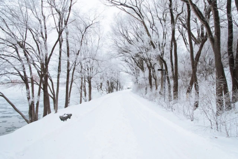 梦见下雪了自己在扫路，净化心灵，迎接新生的预兆