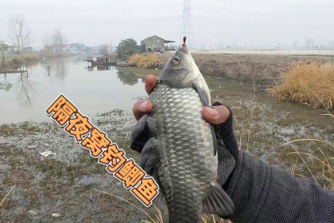 梦见发大水，阴天傍晚河上漂鱼，预示何意？