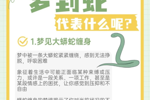 梦境解析，我梦到一条大蟒蛇咬死了另一个大蟒蛇的含义