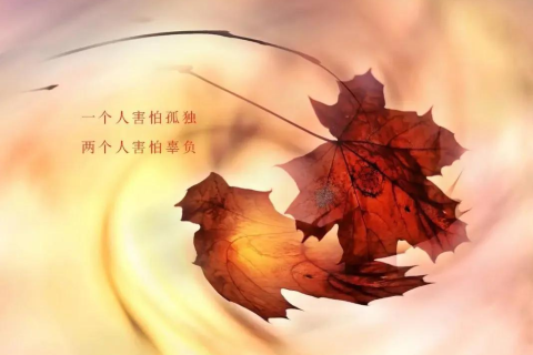 梦境的迷雾，探索昨晚梦见男朋友出轨的深层含义与心理解析