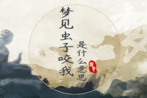 梦见被虫子咬，梦境背后的深层含义与解析